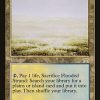 Flooded Strand
