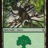 Forest (273)