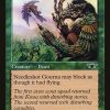 Needleshot Gourna
