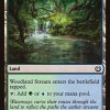 Woodland Stream