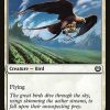 Skyswirl Harrier