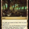 Forbidden Orchard