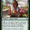 Oashra Cultivator