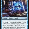 Seeker of Insight