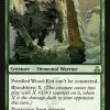Petrified Wood-Kin