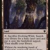 Evolving Wilds