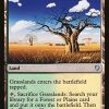 Grasslands