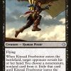 Kitesail Freebooter