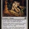 Pallid Mycoderm