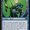 Cryptic Annelid