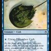 Horseshoe Crab