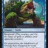 Cold-Water Snapper