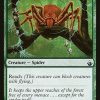 Canopy Spider