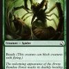 Giant Spider
