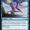 Welkin Tern