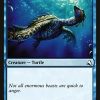 Armored Whirl Turtle