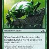 Ironshell Beetle