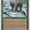 Grizzly Bears
