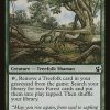 Everbark Shaman