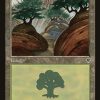 Forest (349)