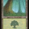 Forest (347)