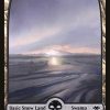 Snow-Covered Swamp