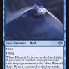 Blizzard Strix