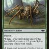 Twin-Silk Spider