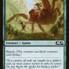 Mammoth Spider