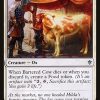 Bartered Cow