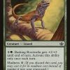 Basking Rootwalla