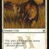 Savannah Lions