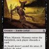 Miasmic Mummy