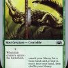 Wild Crocodile