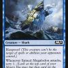 Spined Megalodon