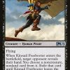 Kitesail Freebooter