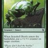 Ironshell Beetle