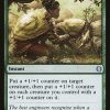 Lifecrafter's Gift