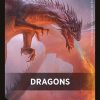 Dragons Theme Card