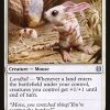 Canyon Jerboa
