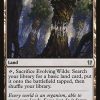 Evolving Wilds