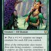 Immaculate Magistrate