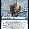Pilfering Hawk