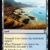 Tranquil Cove