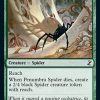 Penumbra Spider