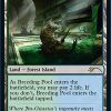 Breeding Pool
