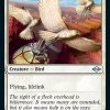 Healer's Flock