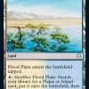 Flood Plain