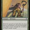Cylian Elf