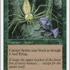 Canopy Spider